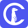 Curious Thing logo