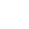 Lance logo