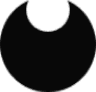 Newo.ai logo