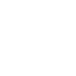 Sandra AI logo