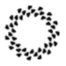 Scry AI logo