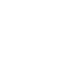 Lance logo